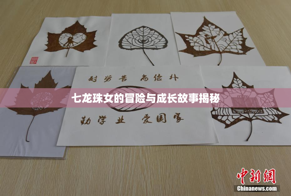 七龙珠女的冒险与成长故事揭秘