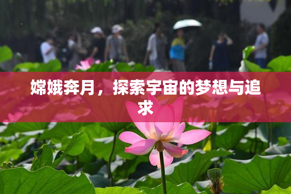 嫦娥奔月，探索宇宙的梦想与追求