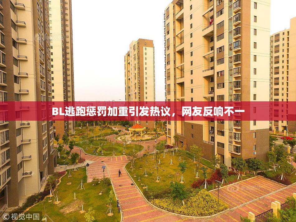BL逃跑惩罚加重引发热议，网友反响不一