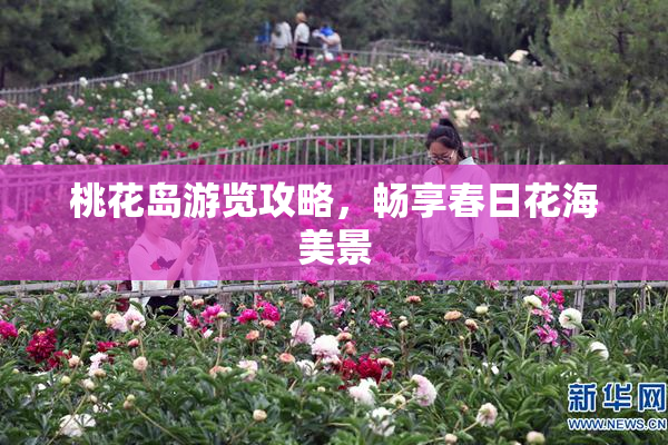桃花岛游览攻略，畅享春日花海美景