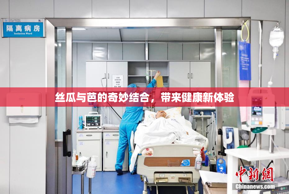 丝瓜与芭的奇妙结合，带来健康新体验
