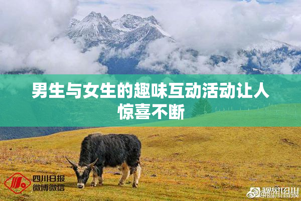 男生与女生的趣味互动活动让人惊喜不断
