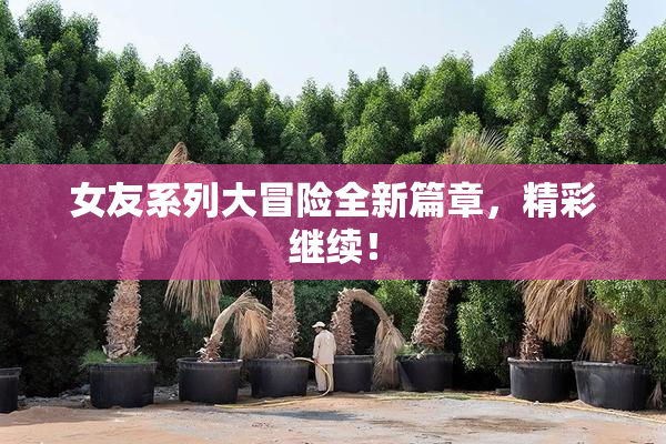 女友系列大冒险全新篇章，精彩继续！