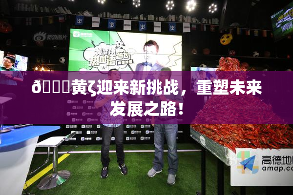 🔞黄ζ迎来新挑战，重塑未来发展之路！