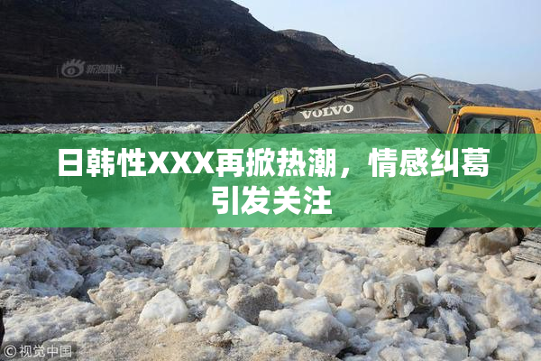 日韩性XXX再掀热潮，情感纠葛引发关注