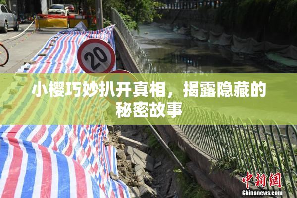 小樱巧妙扒开真相，揭露隐藏的秘密故事