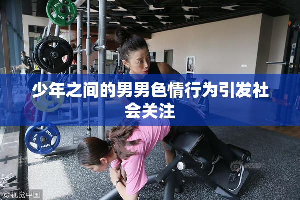 少年之间的男男色情行为引发社会关注
