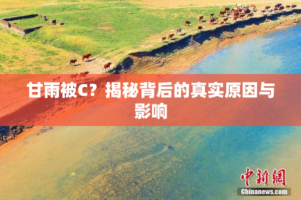 甘雨被C？揭秘背后的真实原因与影响
