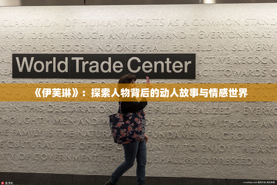 《伊芙琳》：探索人物背后的动人故事与情感世界