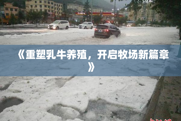 《重塑乳牛养殖，开启牧场新篇章》