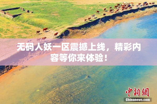 无码人妖一区震撼上线，精彩内容等你来体验！