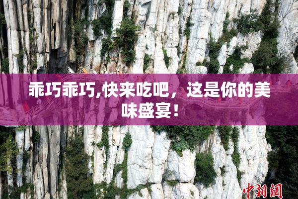乖巧乖巧,快来吃吧，这是你的美味盛宴！