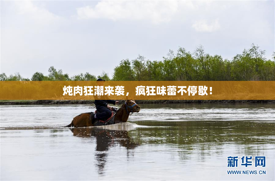 炖肉狂潮来袭，疯狂味蕾不停歇！