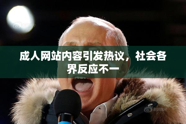 成人网站内容引发热议，社会各界反应不一