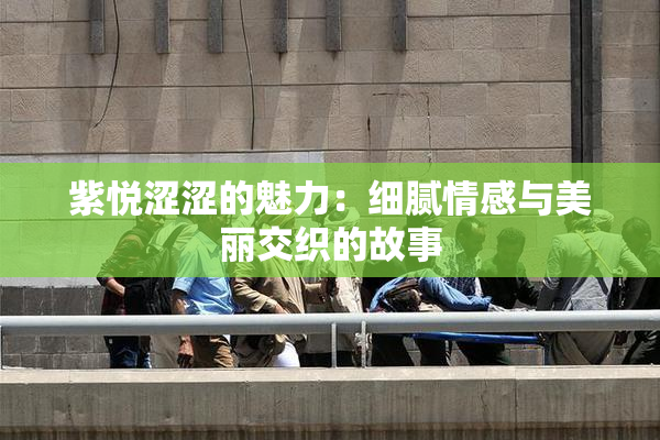 紫悦涩涩的魅力：细腻情感与美丽交织的故事