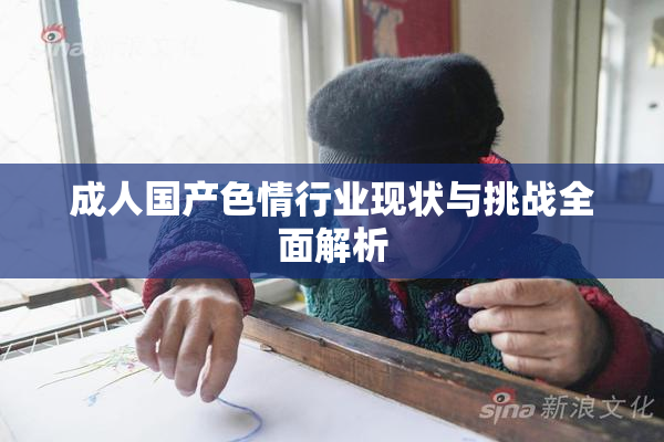 成人国产色情行业现状与挑战全面解析