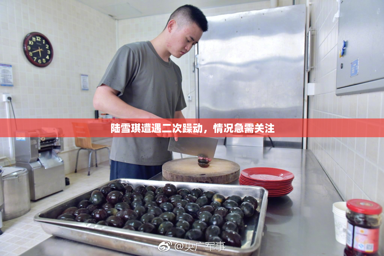 陆雪琪遭遇二次躁动，情况急需关注