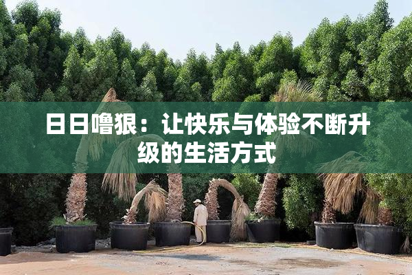 日日噜狠：让快乐与体验不断升级的生活方式