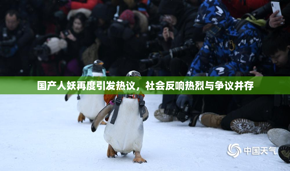国产人妖再度引发热议，社会反响热烈与争议并存