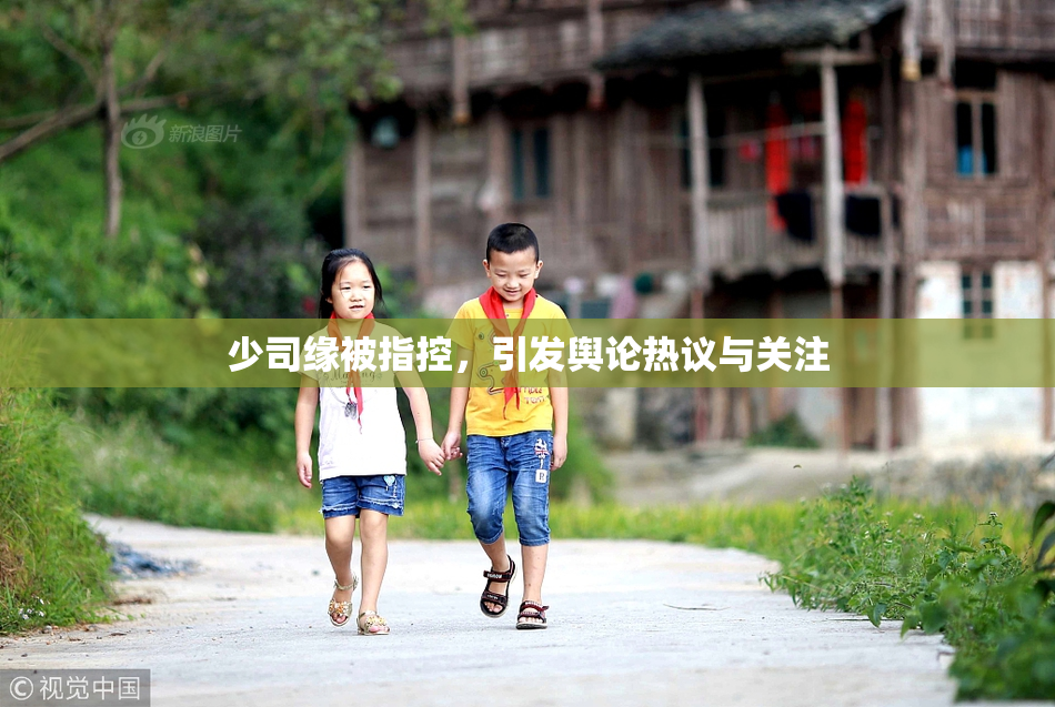 少司缘被指控，引发舆论热议与关注