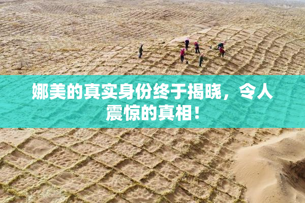 娜美的真实身份终于揭晓，令人震惊的真相！