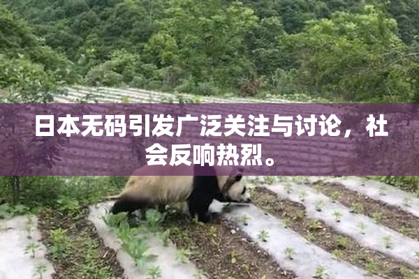 日本无码引发广泛关注与讨论，社会反响热烈。