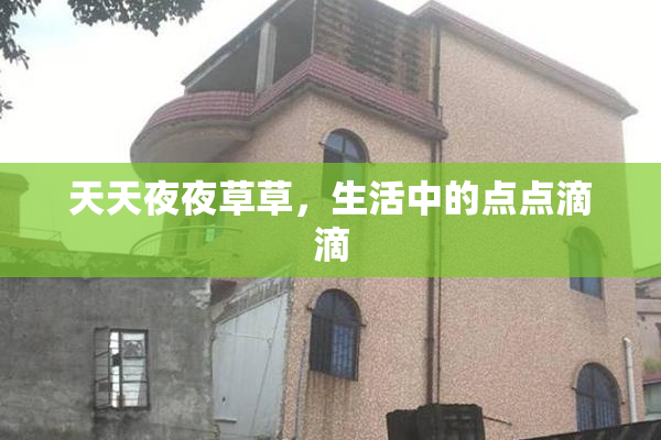 天天夜夜草草，生活中的点点滴滴