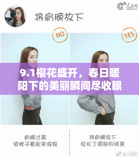 9.1樱花盛开，春日暖阳下的美丽瞬间尽收眼底