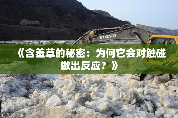 《含羞草的秘密：为何它会对触碰做出反应？》