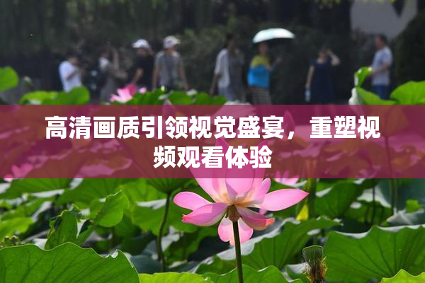 高清画质引领视觉盛宴，重塑视频观看体验