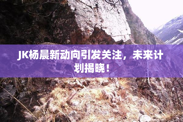 JK杨晨新动向引发关注，未来计划揭晓！