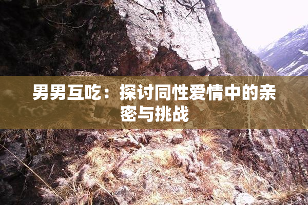 男男互吃：探讨同性爱情中的亲密与挑战