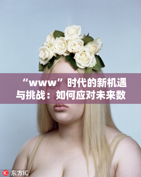 “www”时代的新机遇与挑战：如何应对未来数字变革？