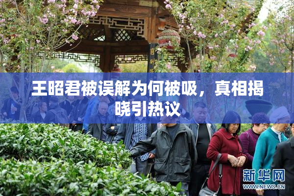 王昭君被误解为何被吸，真相揭晓引热议