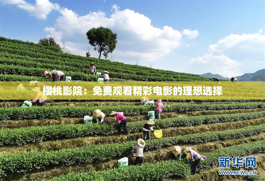 樱桃影院：免费观看精彩电影的理想选择