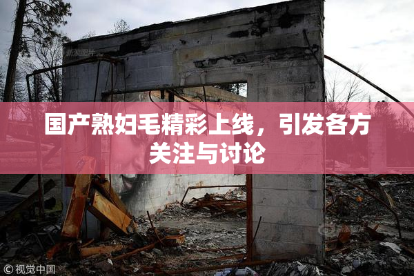 国产熟妇毛精彩上线，引发各方关注与讨论