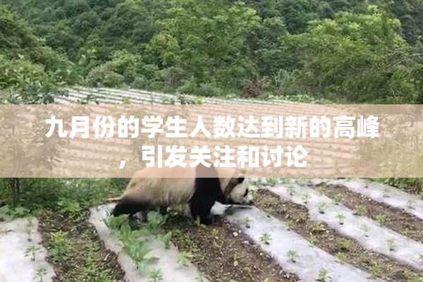 九月份的学生人数达到新的高峰，引发关注和讨论