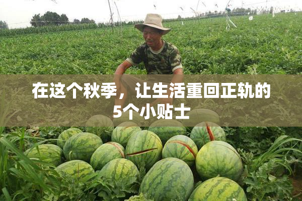 在这个秋季，让生活重回正轨的5个小贴士