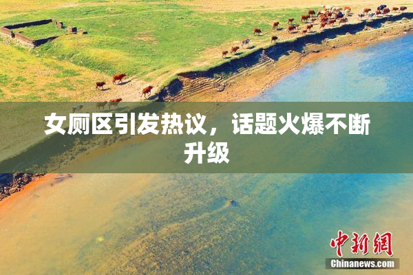 女厕区引发热议，话题火爆不断升级