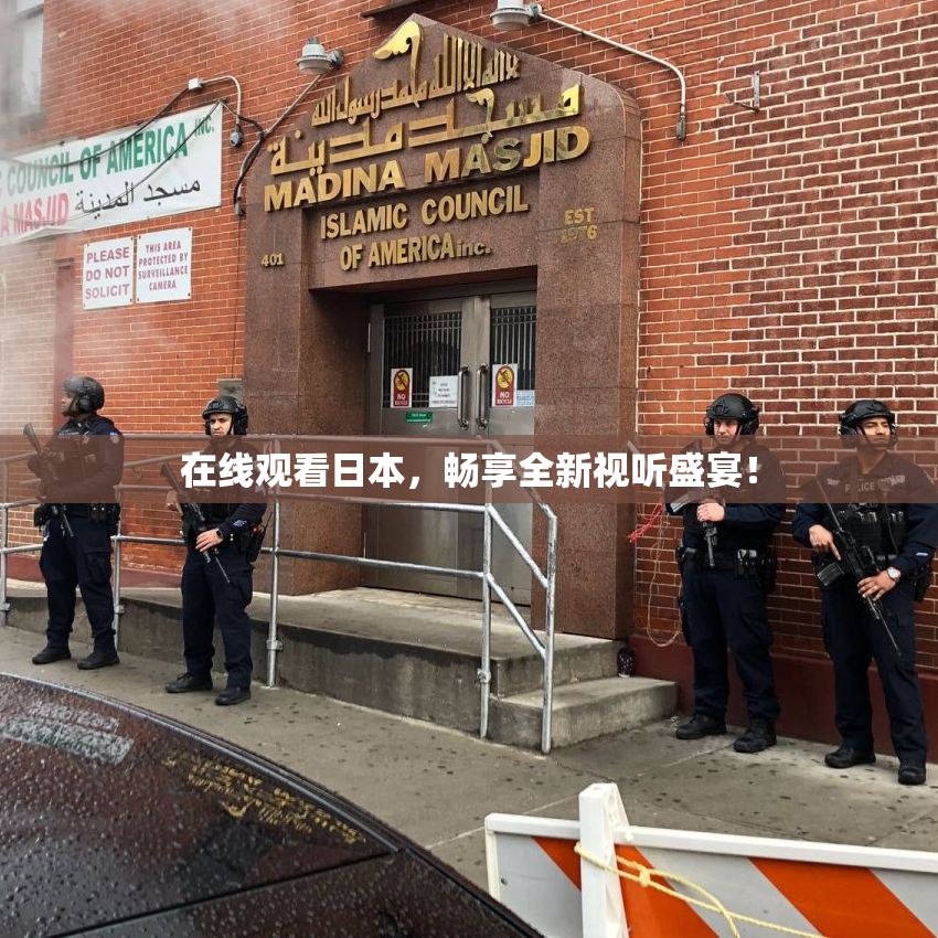 在线观看日本，畅享全新视听盛宴！