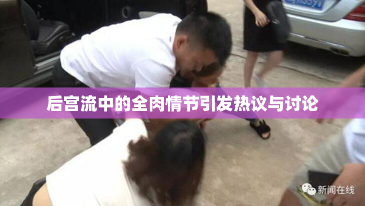 后宫流中的全肉情节引发热议与讨论