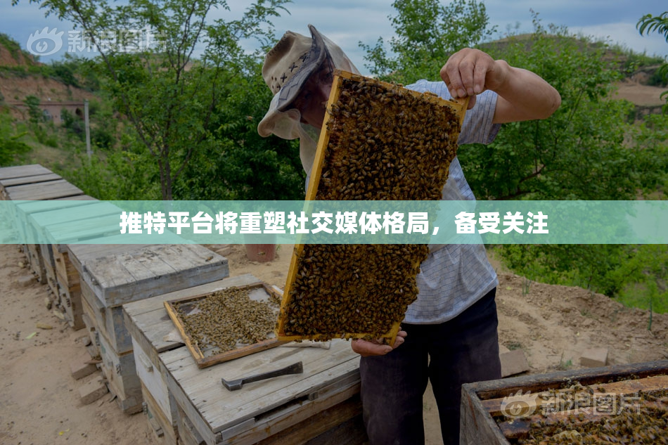 推特平台将重塑社交媒体格局，备受关注