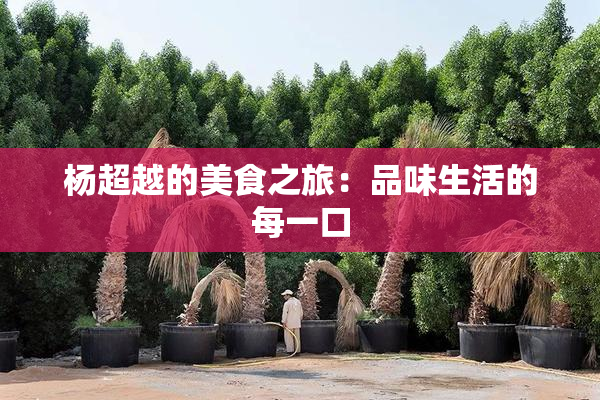 杨超越的美食之旅：品味生活的每一口