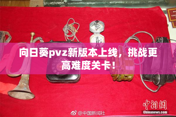 向日葵pvz新版本上线，挑战更高难度关卡！