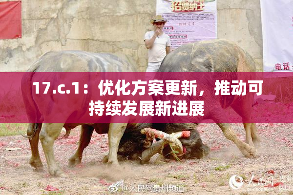 17.c.1：优化方案更新，推动可持续发展新进展