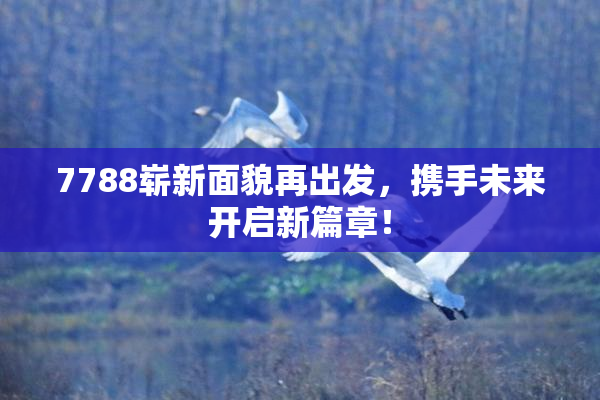 7788崭新面貌再出发，携手未来开启新篇章！