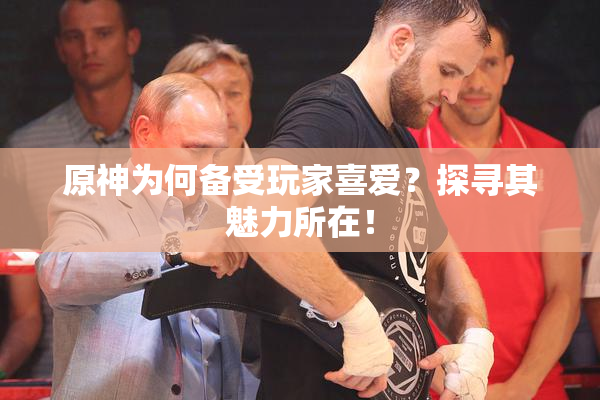 原神为何备受玩家喜爱？探寻其魅力所在！