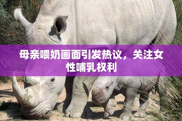 母亲喂奶画面引发热议，关注女性哺乳权利
