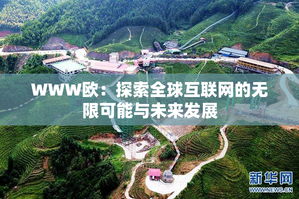 WWW欧：探索全球互联网的无限可能与未来发展