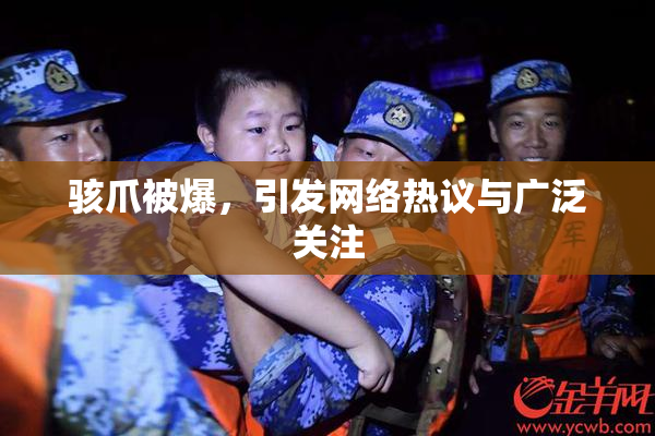 骇爪被爆，引发网络热议与广泛关注